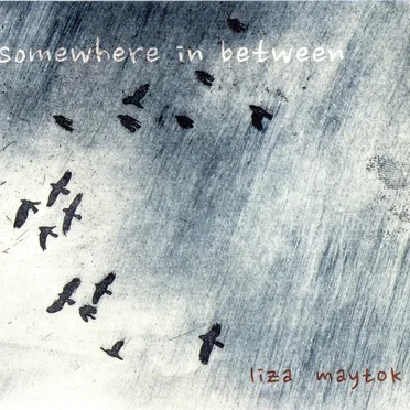 Somewhere in Between by Liza Maytok - album cover