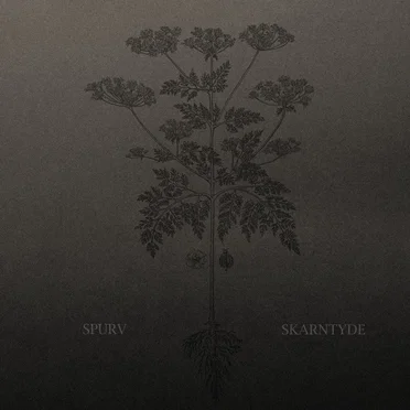 Skarntyde