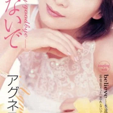 忘れないで-time to say goodbye-
