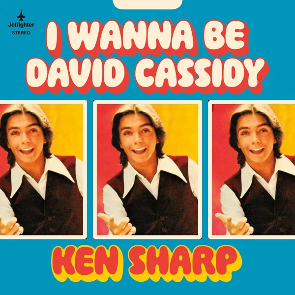 I Wanna Be David Cassidy