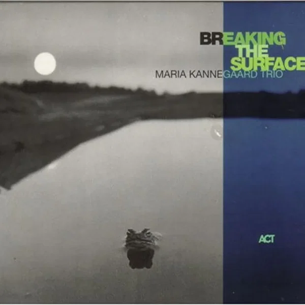 Breaking The Surface