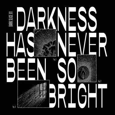 Darkness Has Never Been so Bright (Dark Slice 1) by Various Artists - album cover