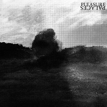 Pleasure Palaces by Pleasure Palaces - album cover