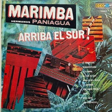 Arriba el sur!