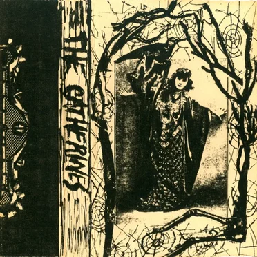 The Catherines