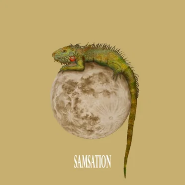 Samsation by Samsation - album cover