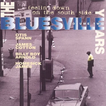 The Bluesville Years Vol.2 - The Feelin' Down On The South Side by Various Artists - album cover