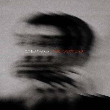 the shape up by ROMEO WALKER - album cover