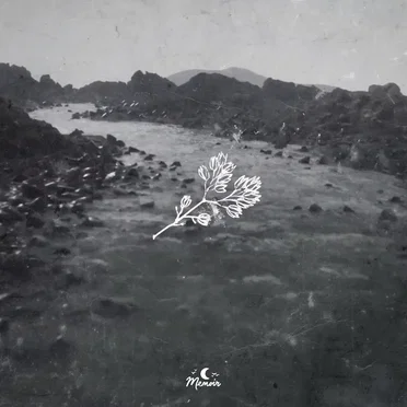 Cool Side of the Pillow