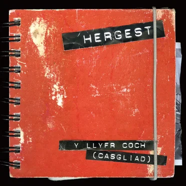 Y Llyfr Coch