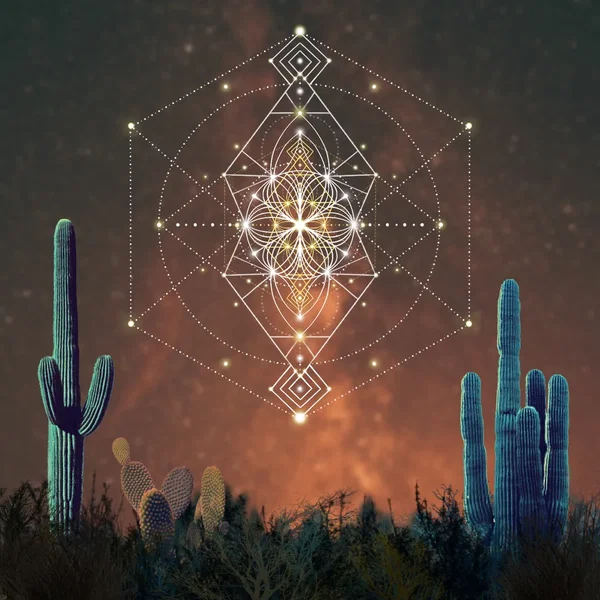 Sueño Desierto en un Camino Estrellado