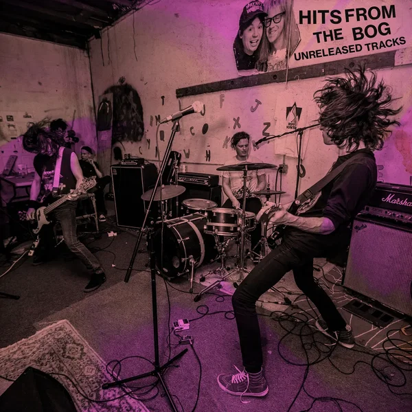 Hits From the Bog