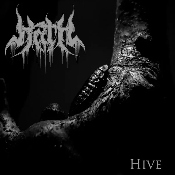 Hive