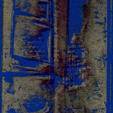 Crocidura Dsi Nezumi