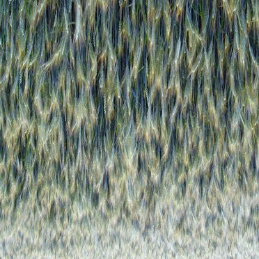 20260325A