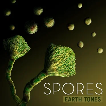 Spores