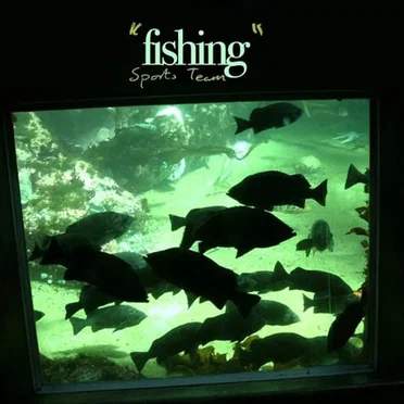 Fishing by Sports Team - album cover