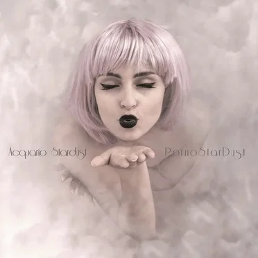 Pornostardust by Acquario Stardust - album cover