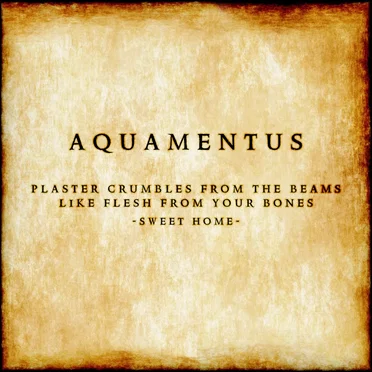 Plaster Crumbles From the Beams Like Flesh From Your Bones (Sweet Home) by Aquamentus - album cover