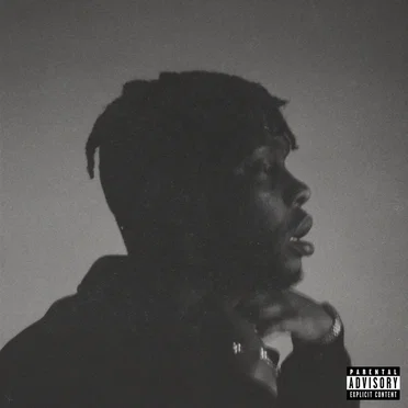WHATEVER YOU DO, DON’T PANIC! by Tri Nohbi - album cover