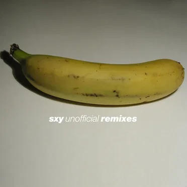 sxy unofficial remixes