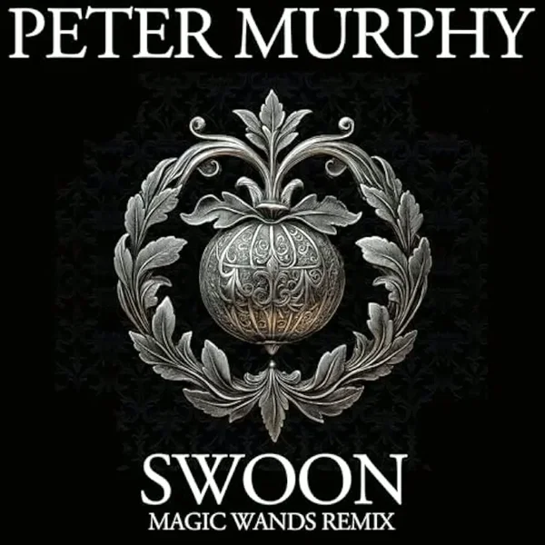 Swoon (Magic Wands remix)