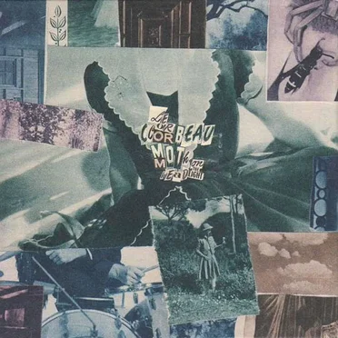 Moth on the Headlight by Le Corbeau - album cover