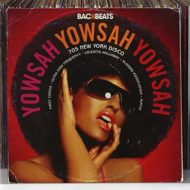 Yowsah Yowsah Yowsah: 70s New York Disco by Various Artists - album cover