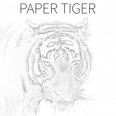 Paper Tiger