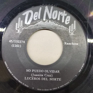 No puedo olvidar / Si pensaste