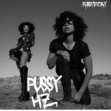 Pussy Hz by Pussy Story - album cover