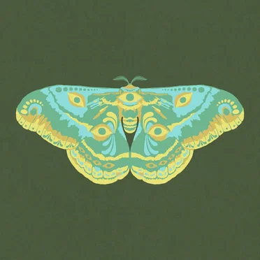 The Moth