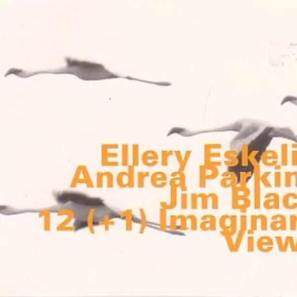 12 (+1) Imaginary Views