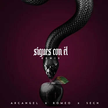 Sigues con él (remix)