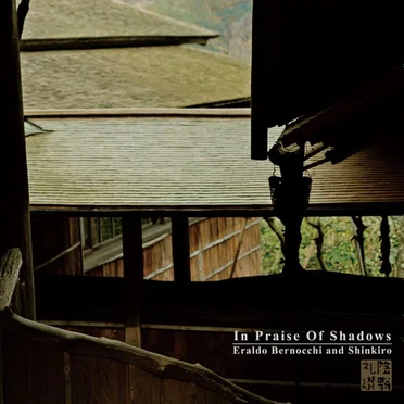 In Praise of Shadows