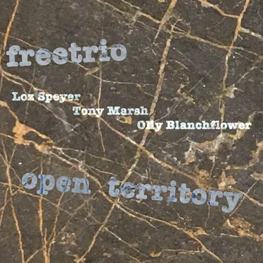 Open Territory by Freetrio - album cover