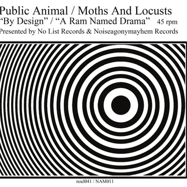 Public Animal