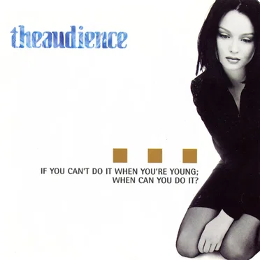 If You Can’t Do It When You’re Young; When Can You Do It? by theaudience - album cover