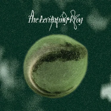 The Levitating Frog III by Repulsive Force - album cover