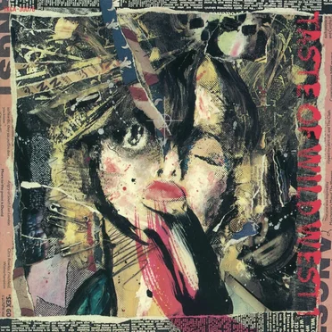 Taste of Wild West 1 by Various Artists - album cover