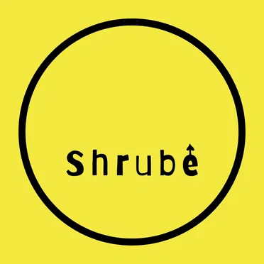 Weird Rules by Shrube - album cover