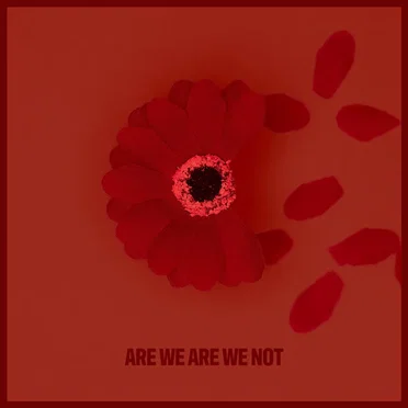 Are We Are We Not by Band of Silver - album cover