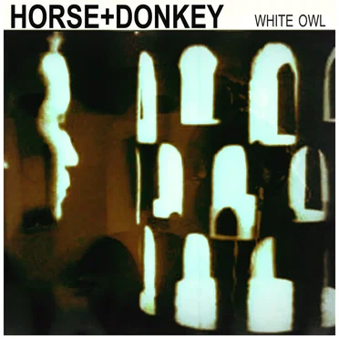 White Owl