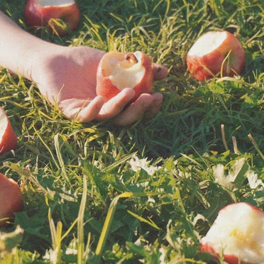 Finding a Worm by Oakabella Mae - album cover