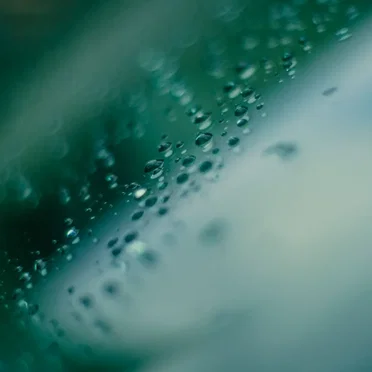 Ocean