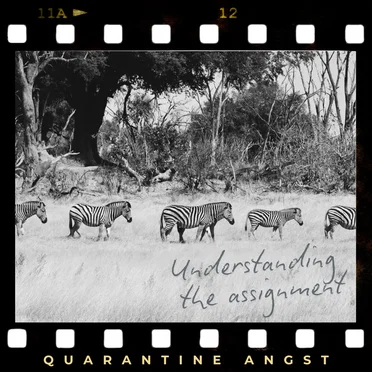 Understanding the Assignment