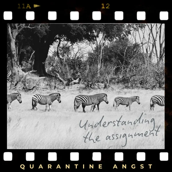 Understanding the Assignment
