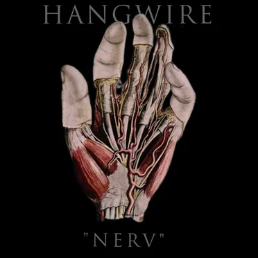 Nerv
