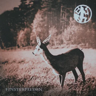 Finsterfelden by Kostnice - album cover