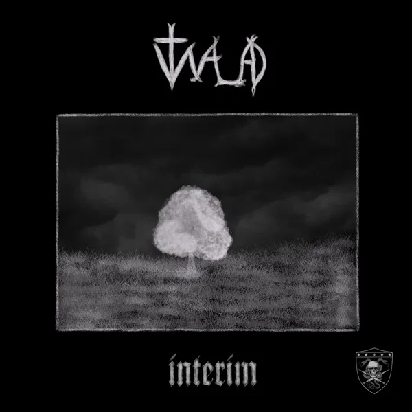 interim
